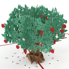 Load image into Gallery viewer, Apple Tree
