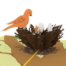 Load image into Gallery viewer, Bird Nest Classic