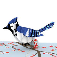 Load image into Gallery viewer, Blue Jay