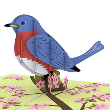 Load image into Gallery viewer, Bluebird