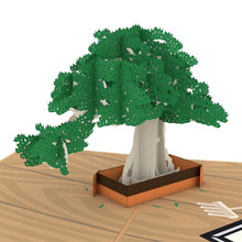 Load image into Gallery viewer, Bonsai Tree