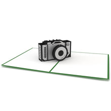 Load image into Gallery viewer, FALSE