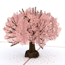 Load image into Gallery viewer, Cherry Blossom Classic