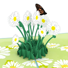 Load image into Gallery viewer, Daisy Patch
