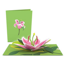 Load image into Gallery viewer, Garden 12 Pack