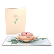 Load image into Gallery viewer, Garden 12 Pack