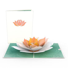 Load image into Gallery viewer, Floral 12 Pack