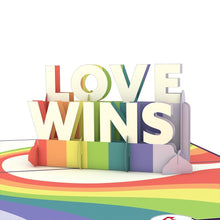 Load image into Gallery viewer, Love Wins