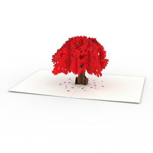 Load image into Gallery viewer, Japanese Maple Notecards (4-Pack)