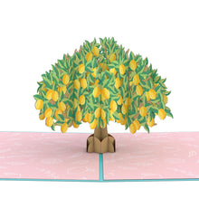 Load image into Gallery viewer, Lemon Tree