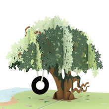Load image into Gallery viewer, Live Oak