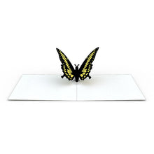 Load image into Gallery viewer, Butterfly Notecards (Assorted 4-Pack)