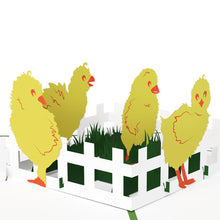 Load image into Gallery viewer, Baby Chicks