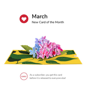 Card of the Month - Favorites
