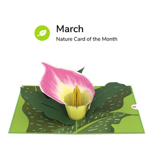 Card of the Month - Nature