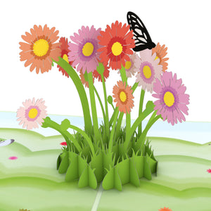 Easter Daisy Patch