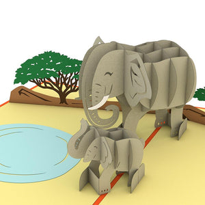 Elephant Family