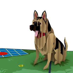 German Shepherd