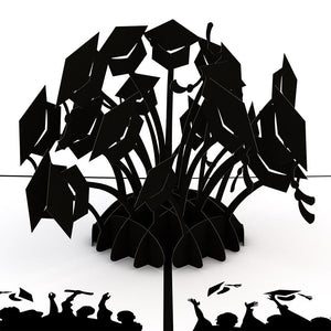 Graduation Hats Black