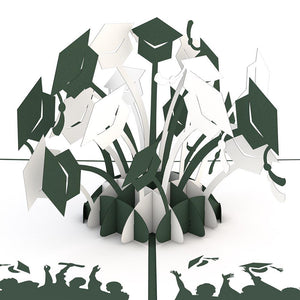 Graduation Hats Green and White