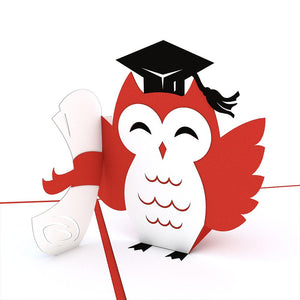 Graduation Owl