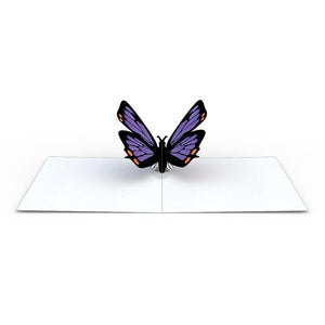 Butterfly Notecards (Assorted 4-Pack)