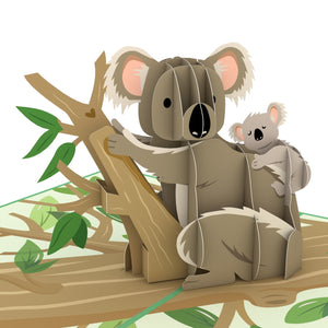 Koala Family