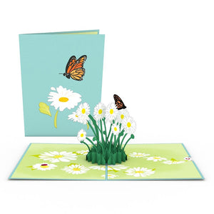 Floral 12 Pack