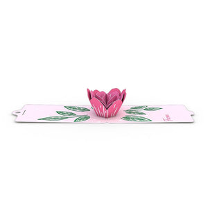 Gift Tag 4-Pack: Rose Bloom