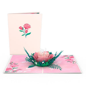 Floral 12 Pack