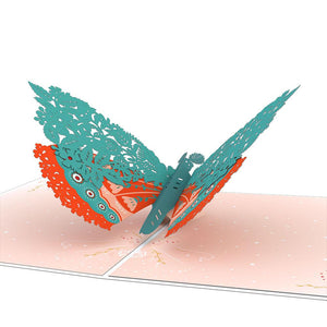 Floral Moth