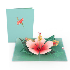 Floral 12 Pack
