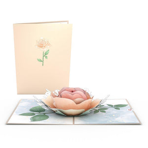 Floral 12 Pack