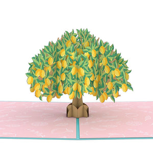 Lemon Tree