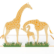 Load image into Gallery viewer, Giraffes
