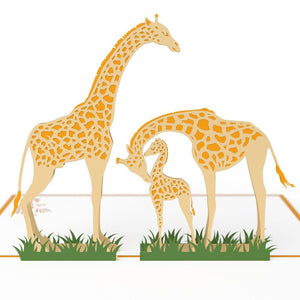 Giraffes