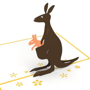 Kangaroos